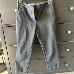 Ann Taylor Work Pants
